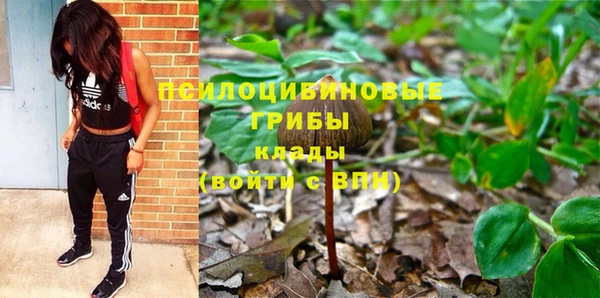 прущая мука Алзамай