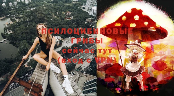 прущая мука Алзамай